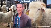 كساب: الخير موجود والدرويش غادي يشري الحولي والكبش المغربي أفضل من الإسباني
